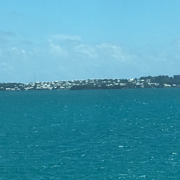 Meet your Posher, Joe - Picture 1 of 1